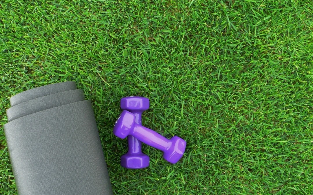 Full Body Workout